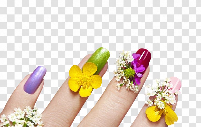 Nail Art Manicure Cosmetology - Petal - Flowers Transparent PNG