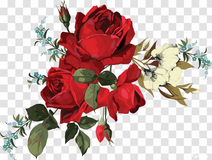 Garden Roses Naturbuket Flower Bouquet Centifolia - Floral Design - Beautiful Transparent PNG
