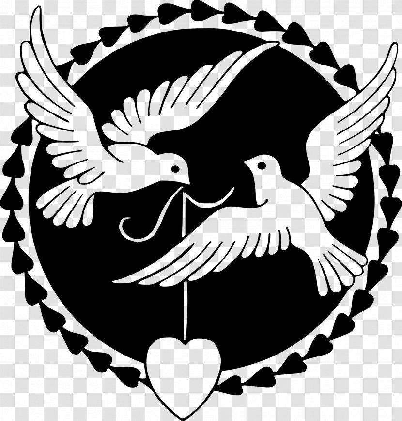 Columbidae Bird Doves As Symbols Clip Art - Pigeon Transparent PNG