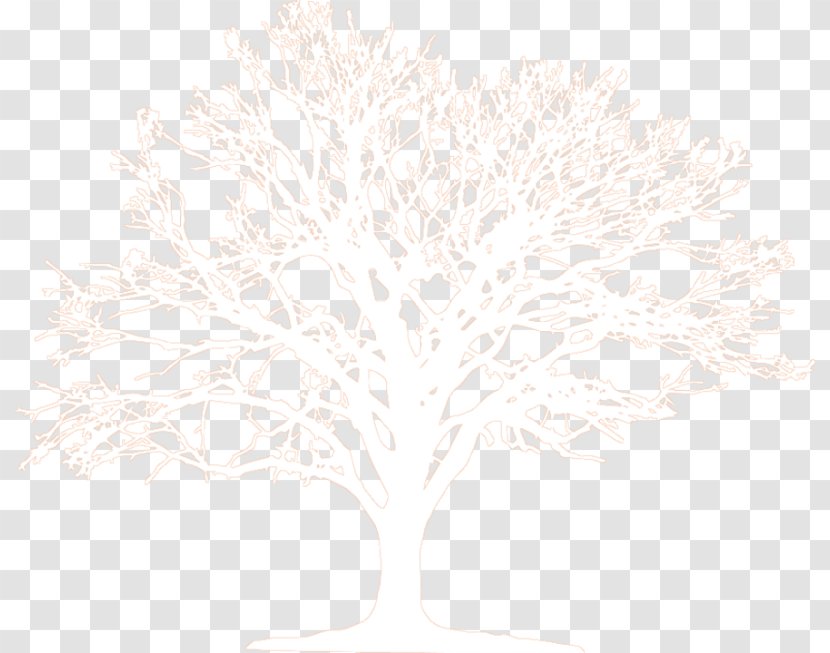 Branching - Tree - Dense Trees Transparent PNG