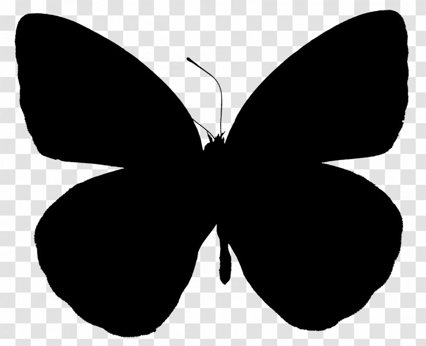 Brush-footed Butterflies Clip Art Silhouette Leaf Black M - Butterfly - Pollinator Transparent PNG