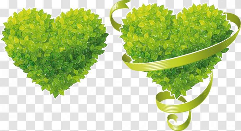 Heart - Leaf Vegetable - Flowerpot Transparent PNG
