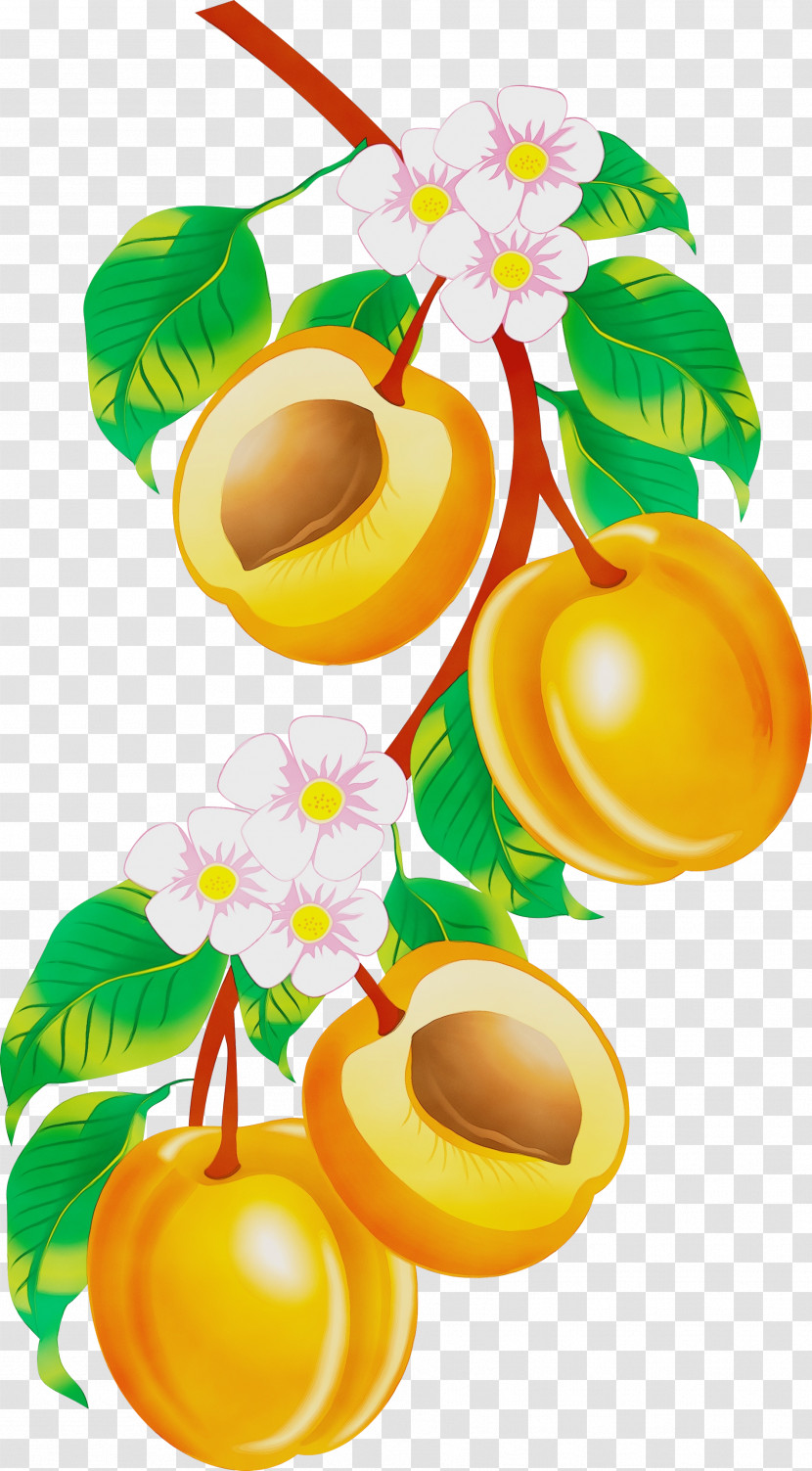 Apple Fruit Armenian Food Apple Juice Peach Transparent PNG