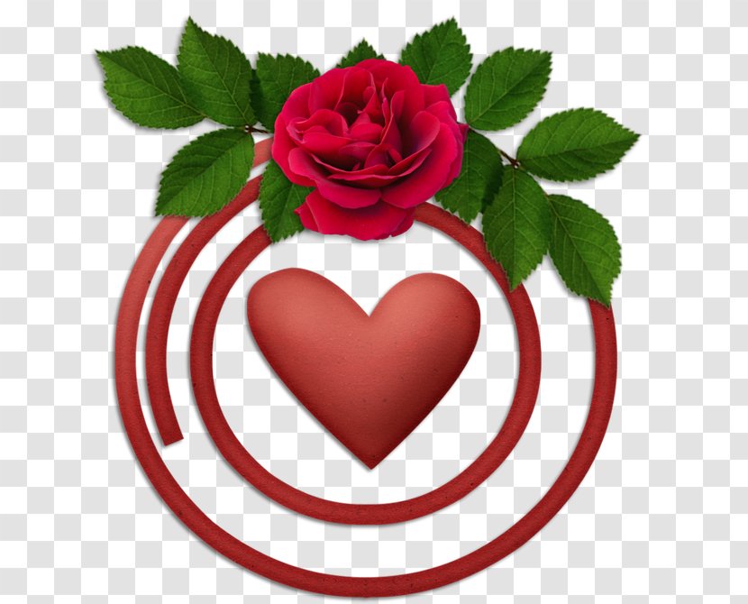 Love Rose Flower - Garden Roses - Order Family Transparent PNG