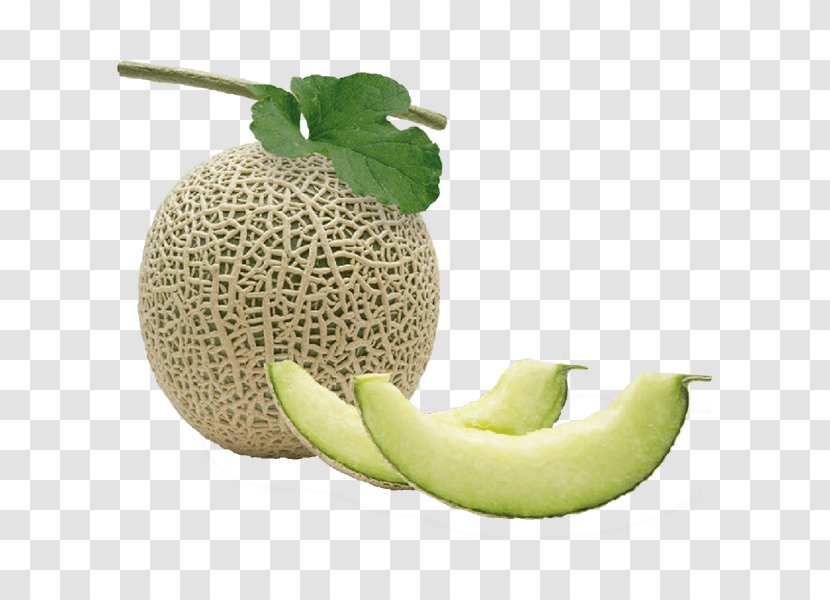 Honeydew Cantaloupe Galia Melon メロン・リキュール Laos - Cucurbitaceae Transparent PNG