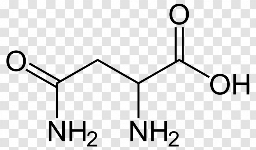 Aspartic Acid Amino Dicarboxylic - ÑˆÐ¸Ð½Ñ‹ Transparent PNG