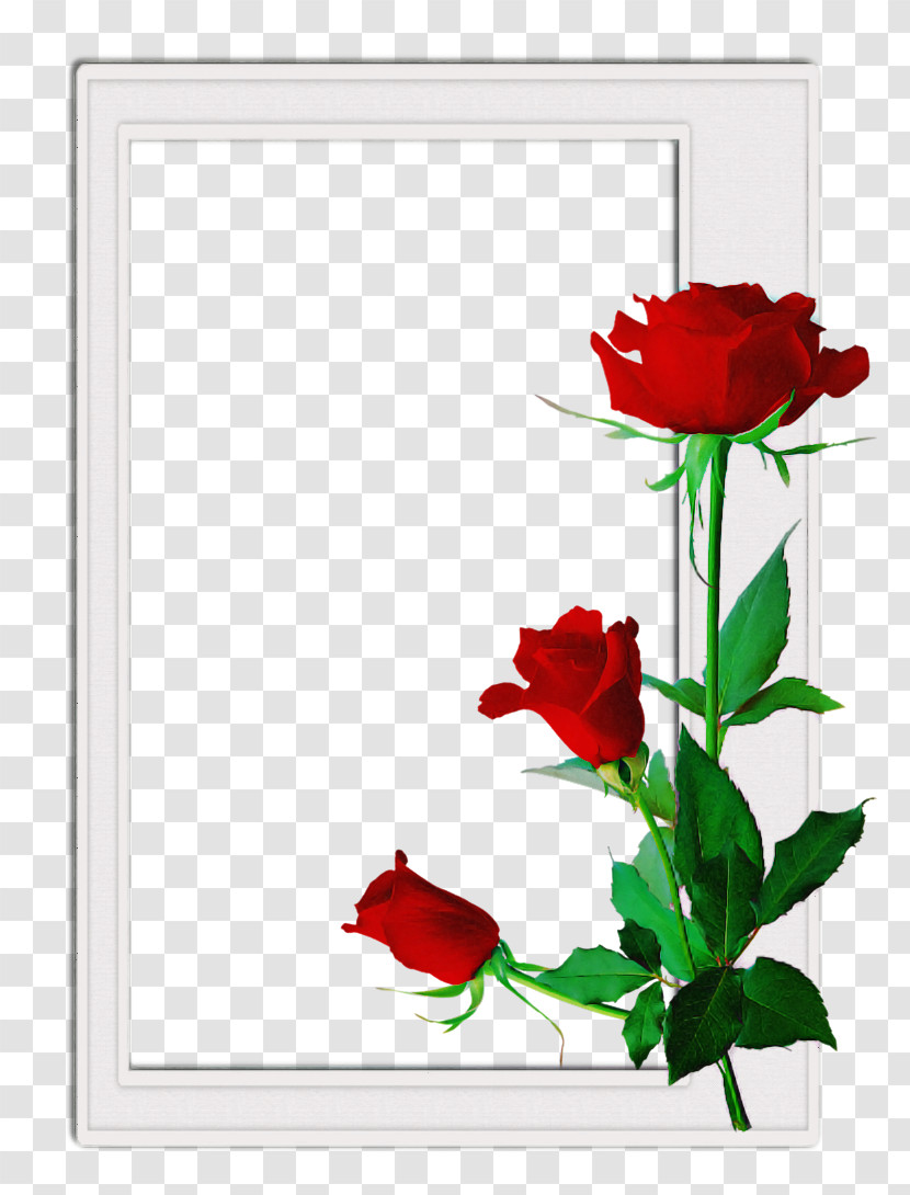 Floral Design Transparent PNG