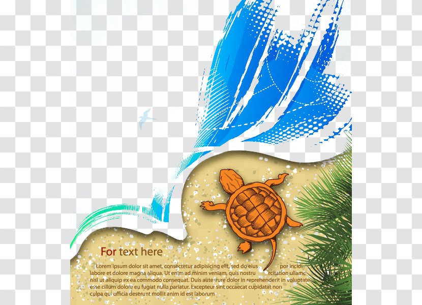 Beach Adobe Illustrator Illustration - Text - Turtle Transparent PNG