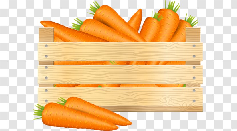 Baby Carrot Food Clip Art - Natural Foods - Vegetable Transparent PNG