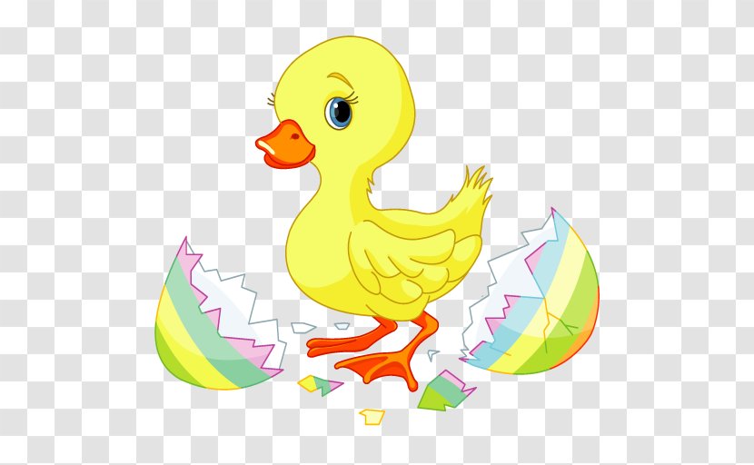 Duck Easter Bunny Clip Art - Stock Photography Transparent PNG