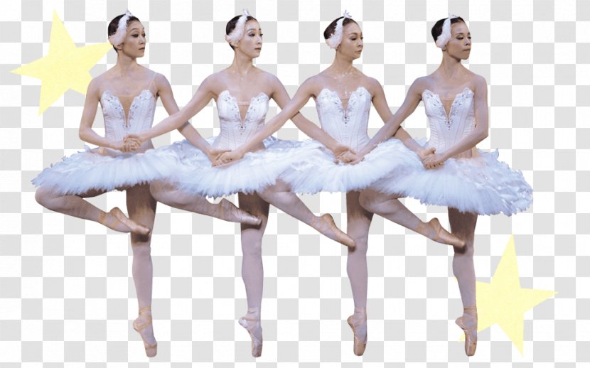 Ballet Choreographer Tutu Dance Choreography - Tree - Swan Transparent PNG