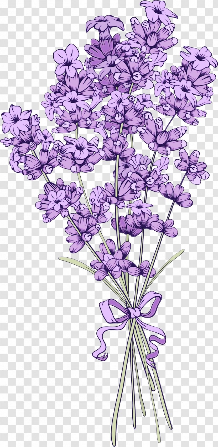 Purple Watercolor Flower - Drawing - Pedicel Plant Stem Transparent PNG