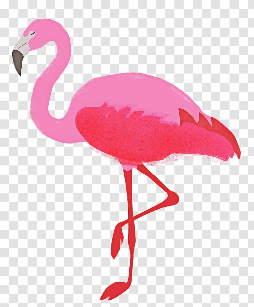 Pink Flamingo - Feather - Magenta Transparent PNG