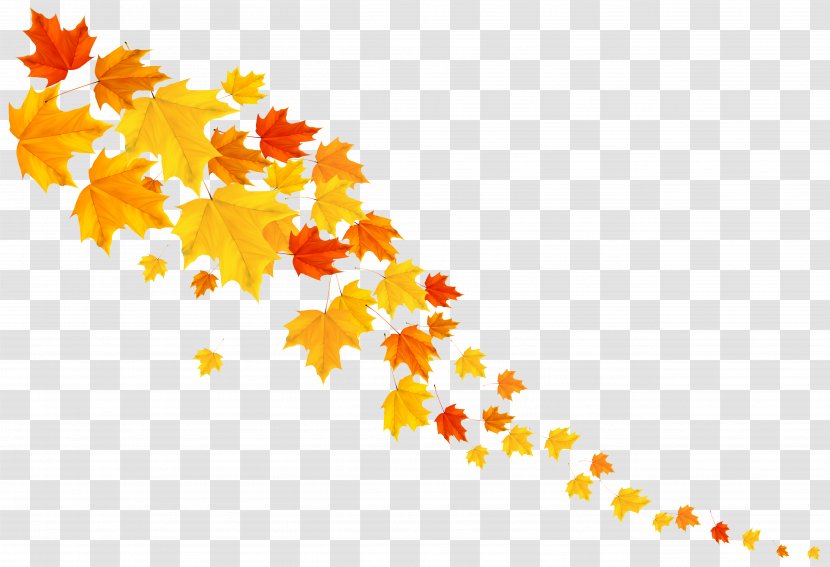 Leaf Yellow Font Pattern - Flowering Plant - Autumn Leafs Decorative Clipart Image Transparent PNG