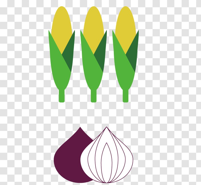 Leaf Clip Art - Plant - Vegetarian Kitchen Transparent PNG