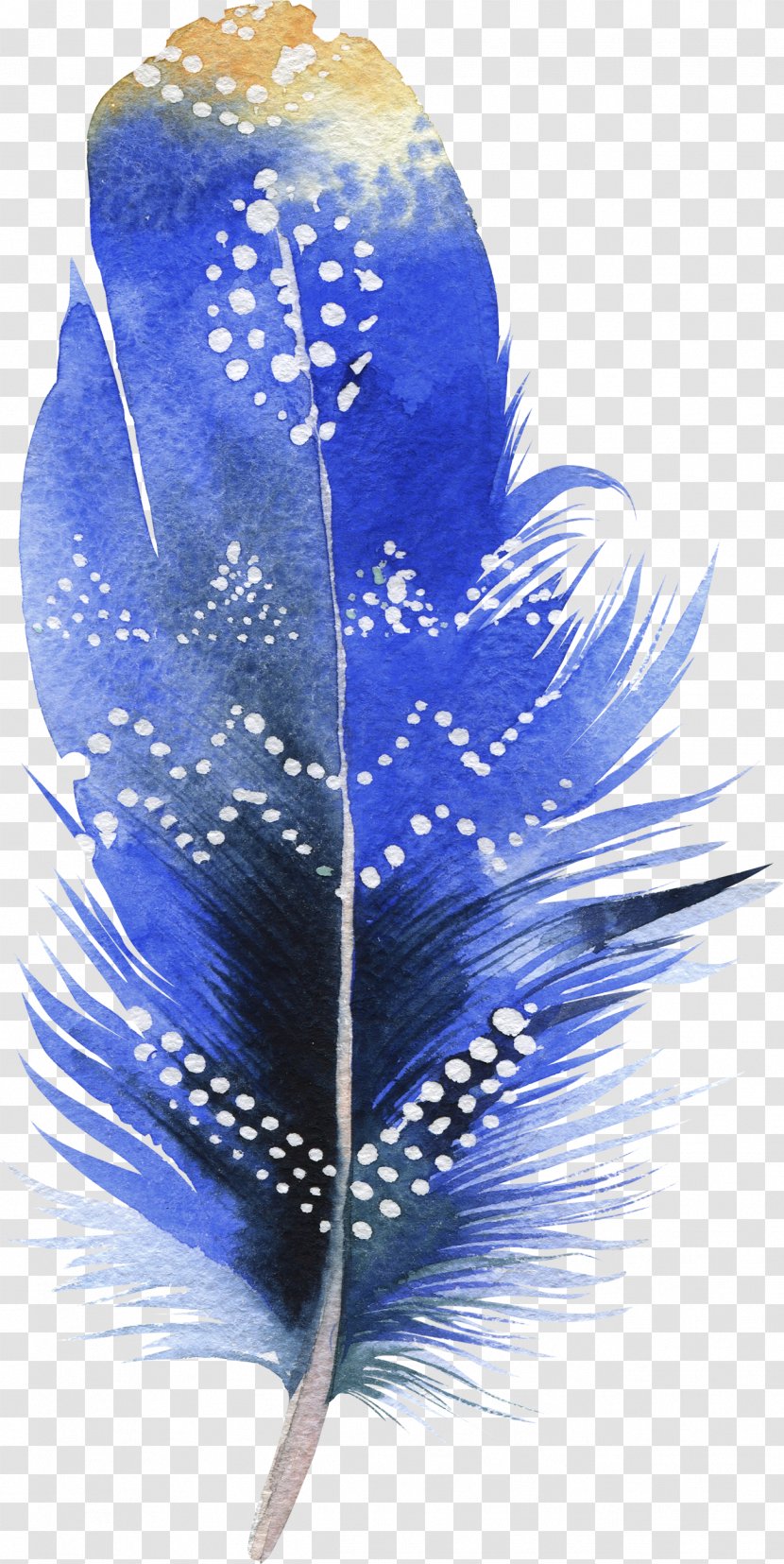 Bird Feather Watercolor Painting Drawing - Photography Transparent PNG