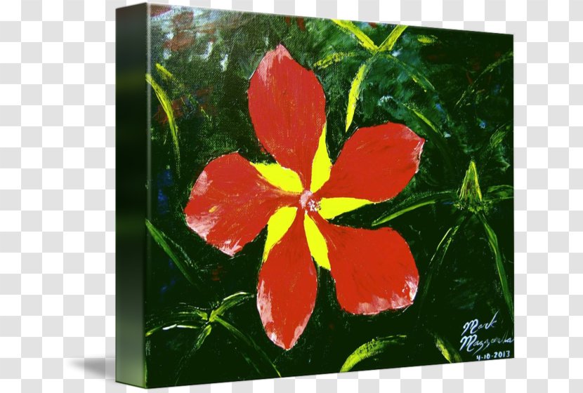 Hibiscus Painting Greeting & Note Cards - Mallow Family Transparent PNG