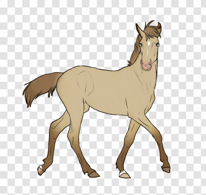 Mule Foal Stallion Colt Mare - Pony - Mustang Transparent PNG
