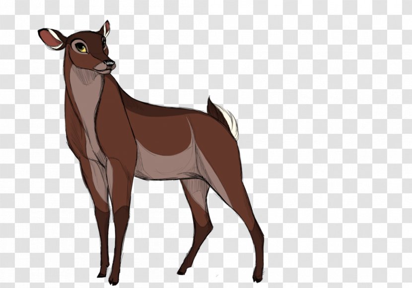 Cattle Mustang Reindeer Antelope Goat - Deer Transparent PNG