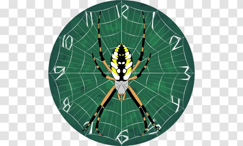Spider Web Yellow Garden Jumping Drawing - Digital Art Transparent PNG