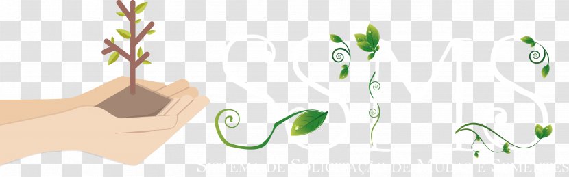 Logo Brand Grasses Leaf - Text - Ba Transparent PNG