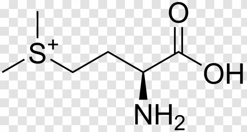 Histidine Amino Acid Arginine Valine Phenylalanine - Watercolor - Cartoon Transparent PNG
