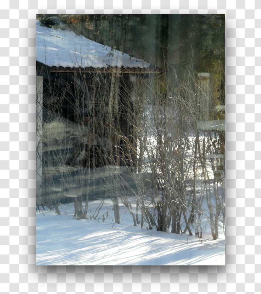 Icicle Painting Tree - Snow Transparent PNG