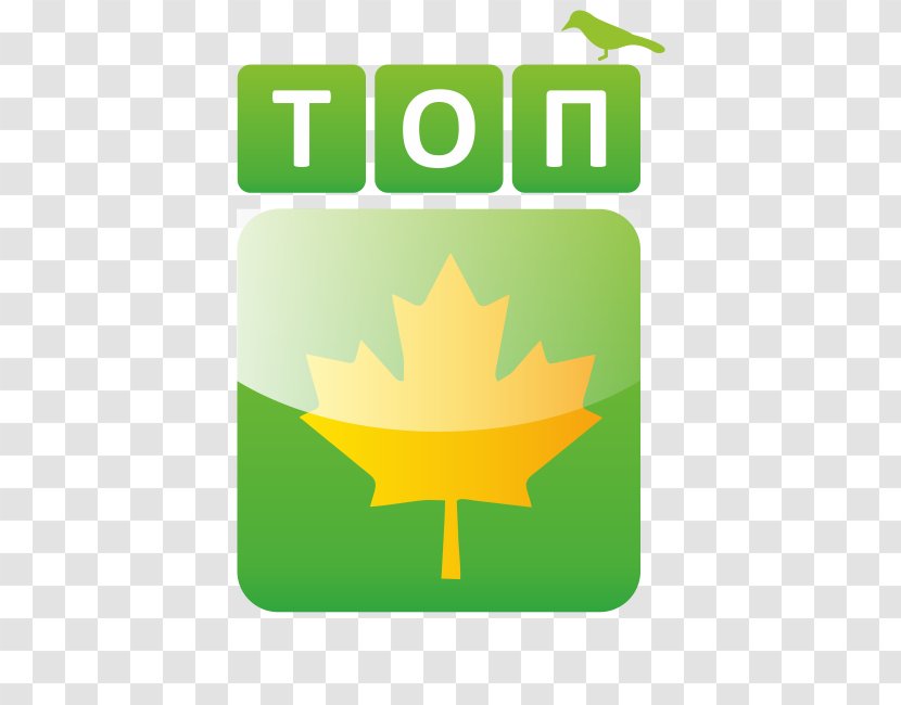 Canada Text Canadian Gold Maple Leaf Flowering Plant Clip Art - Flag Transparent PNG