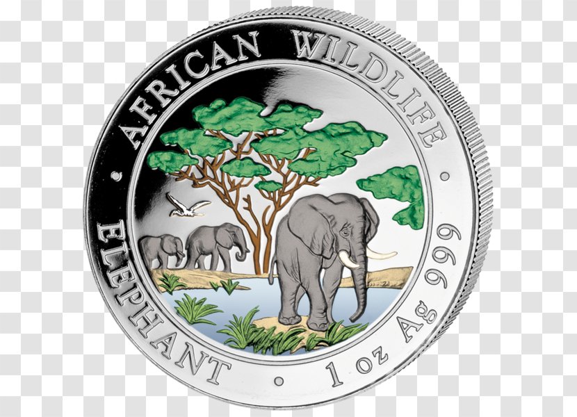 African Elephant Indian Silver Coin The Shoppe - Mammal Transparent PNG
