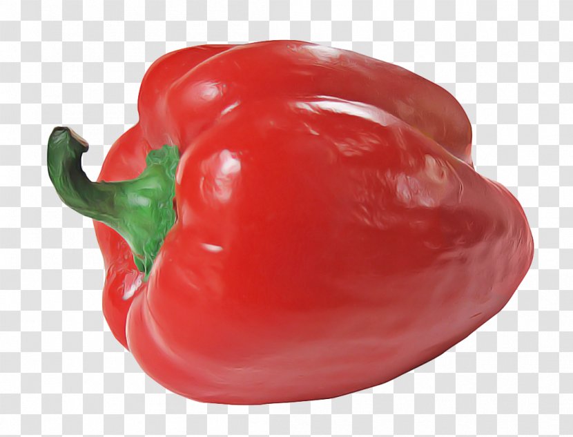 Vegetable Cartoon - Flavor - Piquillo Pepper Nightshade Family Transparent PNG