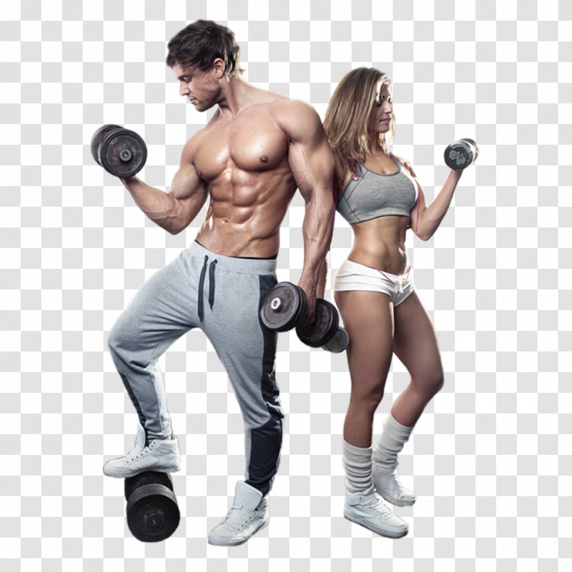 Physical Fitness Exercise Bodybuilding Centre - Flower Transparent PNG