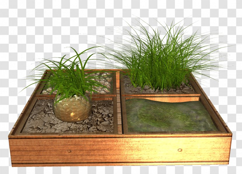 Huatan Flowerpot Clip Art - Grass Family - Flower Bed Transparent PNG
