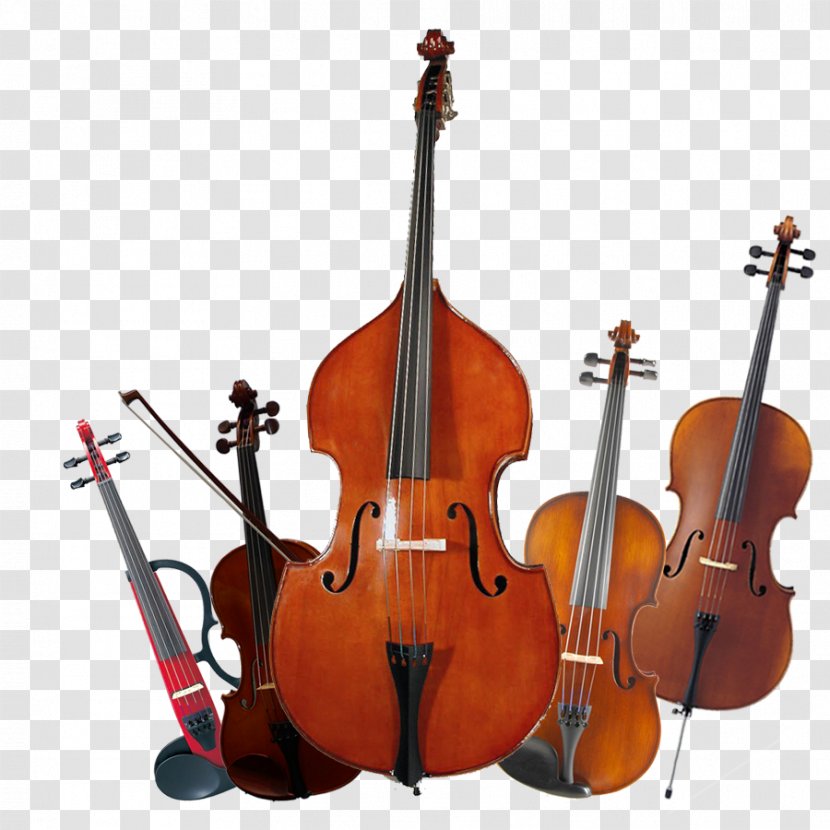 Bass Violin Violone Double Viola Transparent PNG