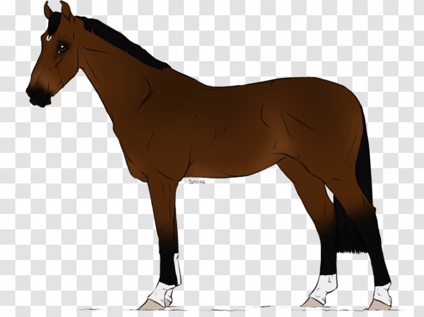 Stallion Mare Trakehner Foal Mane - Mustang Transparent PNG