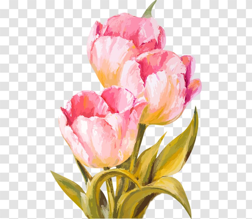 Wedding Invitation Tulip Flower - Watercolor Transparent PNG
