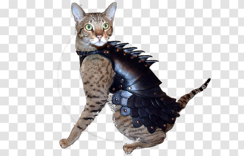 Cat Plate Armour Body Armor Felidae - Dog Harness Transparent PNG