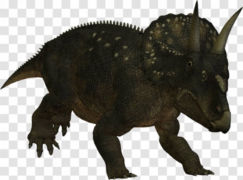 Triceratops Nedoceratops Ceratopsia Photography Dinosaur - Extinction Transparent PNG
