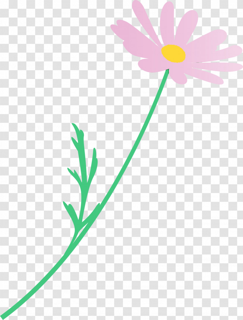 Daisy Transparent PNG