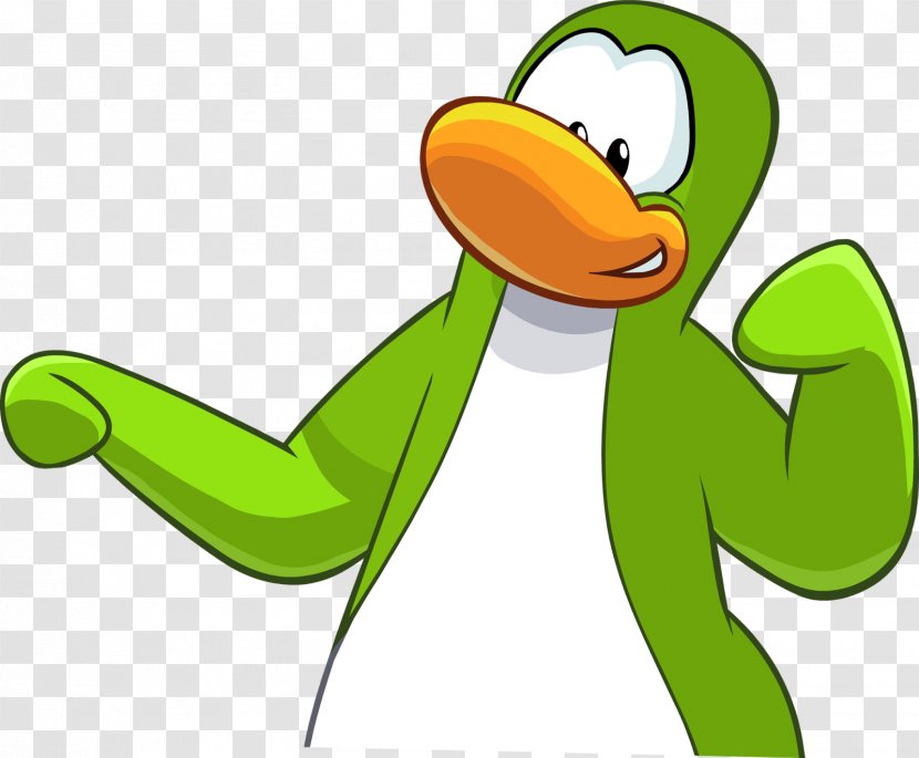 Club Penguin Green Water Bird Clothing Transparent PNG