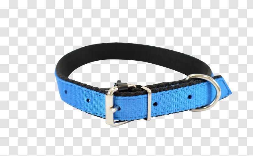 Dog Collar Bulldog Belt Leather Transparent PNG