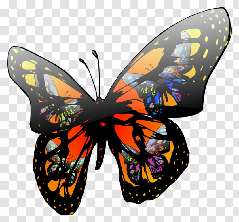 Butterfly Effect Clip Art - Invertebrate Transparent PNG