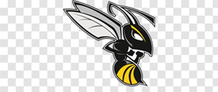 Charlotte Hornets Wasp Bee Clip Art - Yellow Transparent PNG