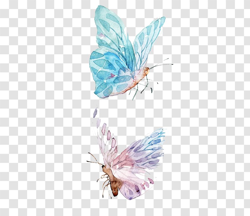 Paper Watercolor Painting Drawing - Moths And Butterflies - Butterfly Transparent PNG