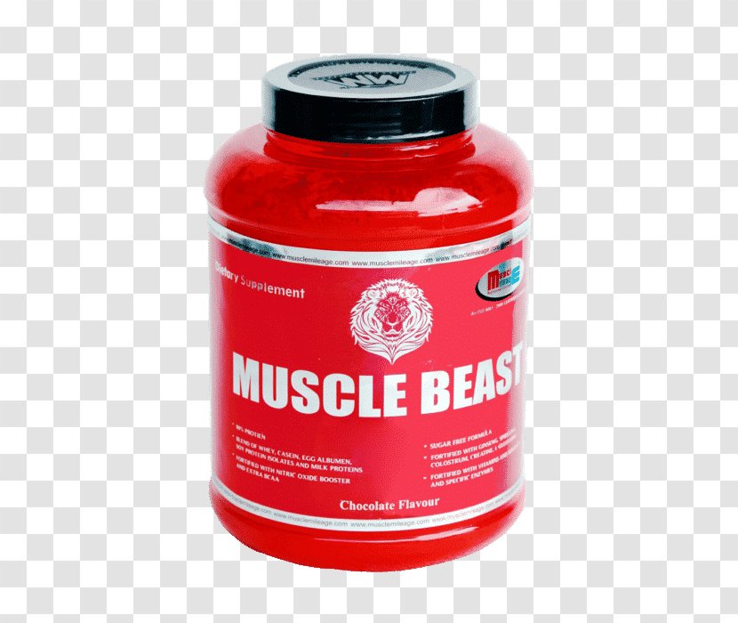 Dietary Supplement Muscle Hypertrophy Protein Amino Acid - Fasciculation - Strength Building Transparent PNG
