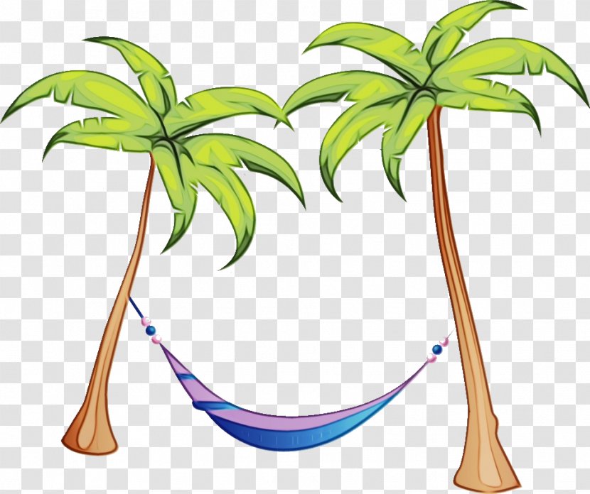 Coconut Tree Cartoon - Flowering Plant Transparent PNG