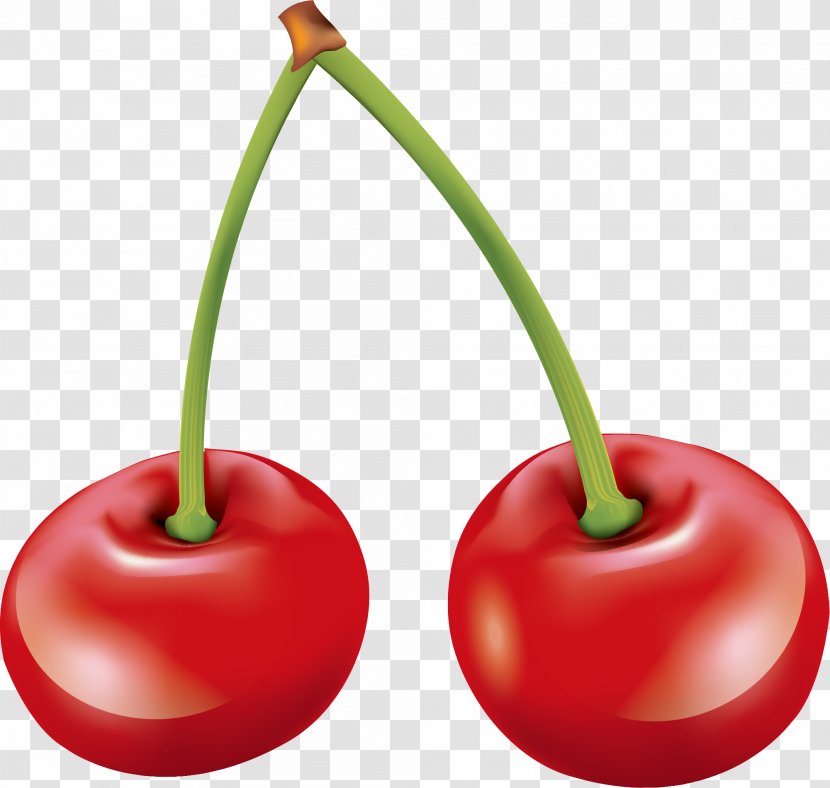 Cherry Food - Fruit - Hand Painted Red Transparent PNG