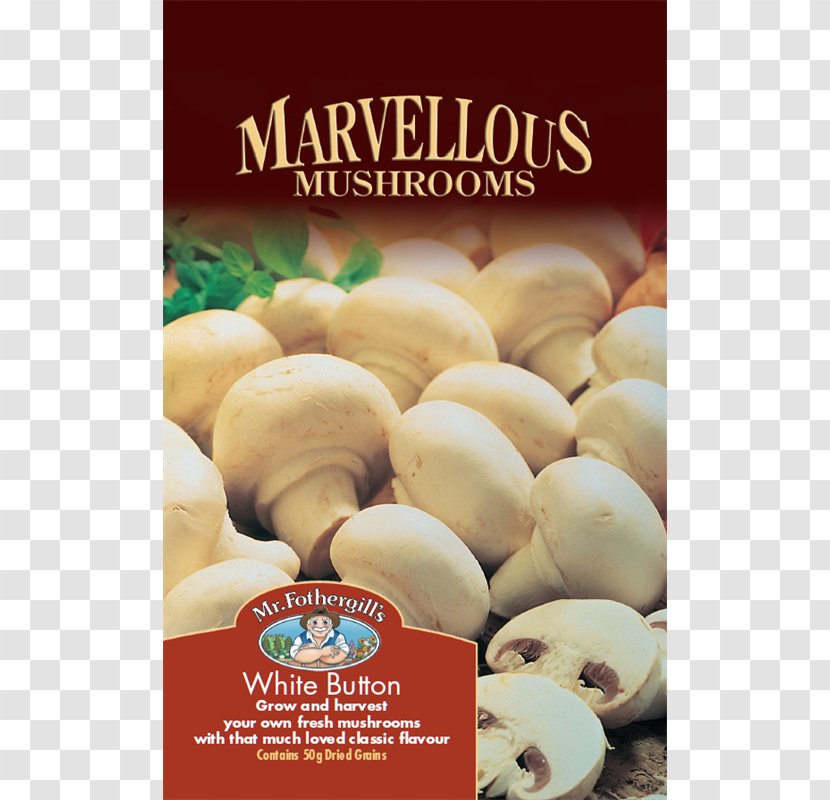 Common Mushroom Edible Ingredient Fungus Transparent PNG