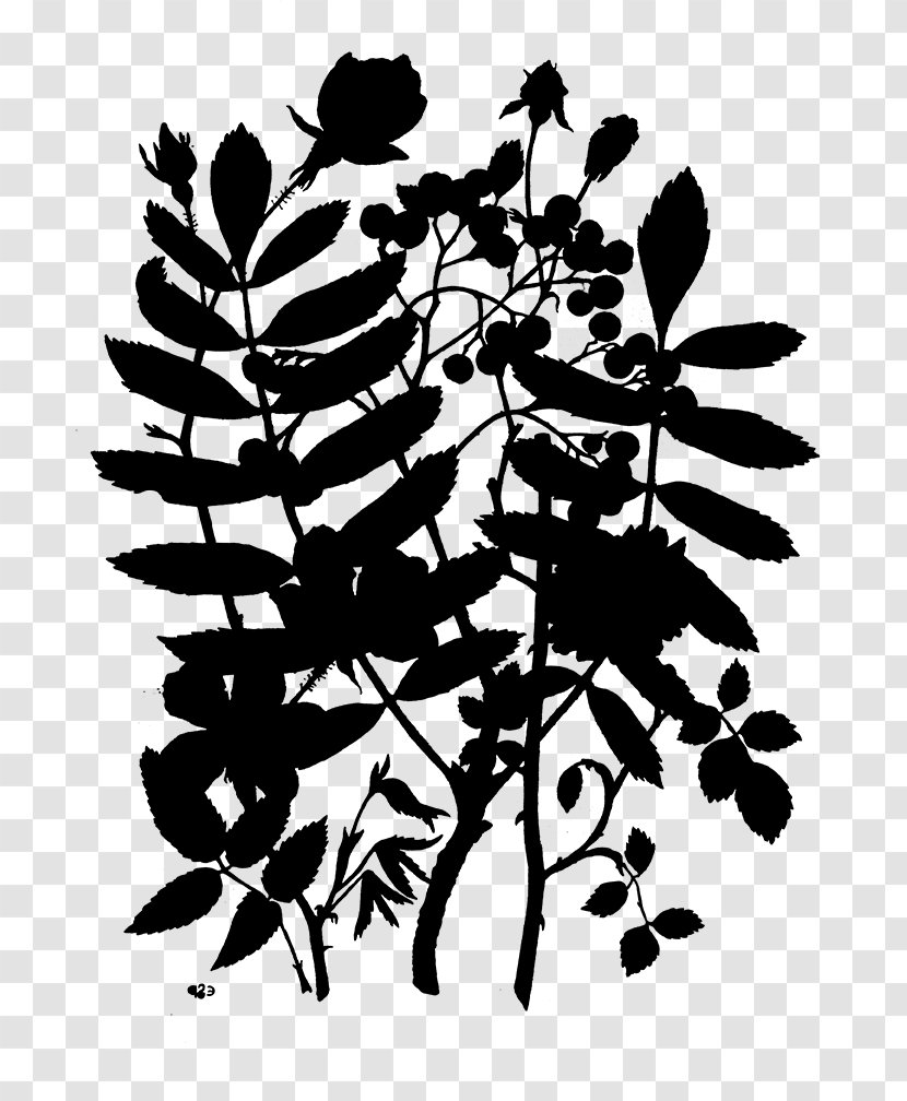 Visual Arts Silhouette Illustration Flower Plant Stem - Vascular - Art Transparent PNG