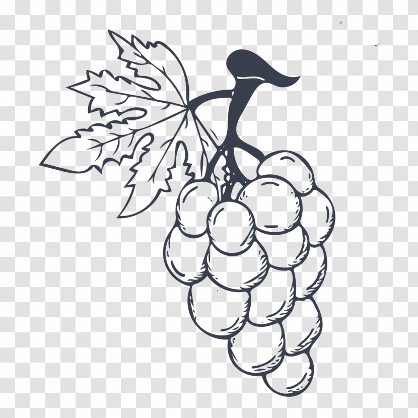 Ice Cream Wine Grape - Black And White - A Bunch Of Grapes Transparent PNG