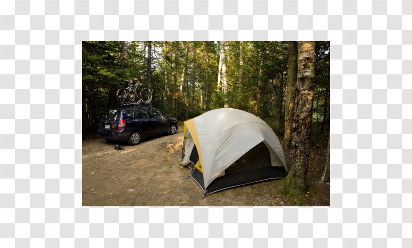 Car Plant Community Camping Tent Motor Vehicle - Automotive Exterior Transparent PNG